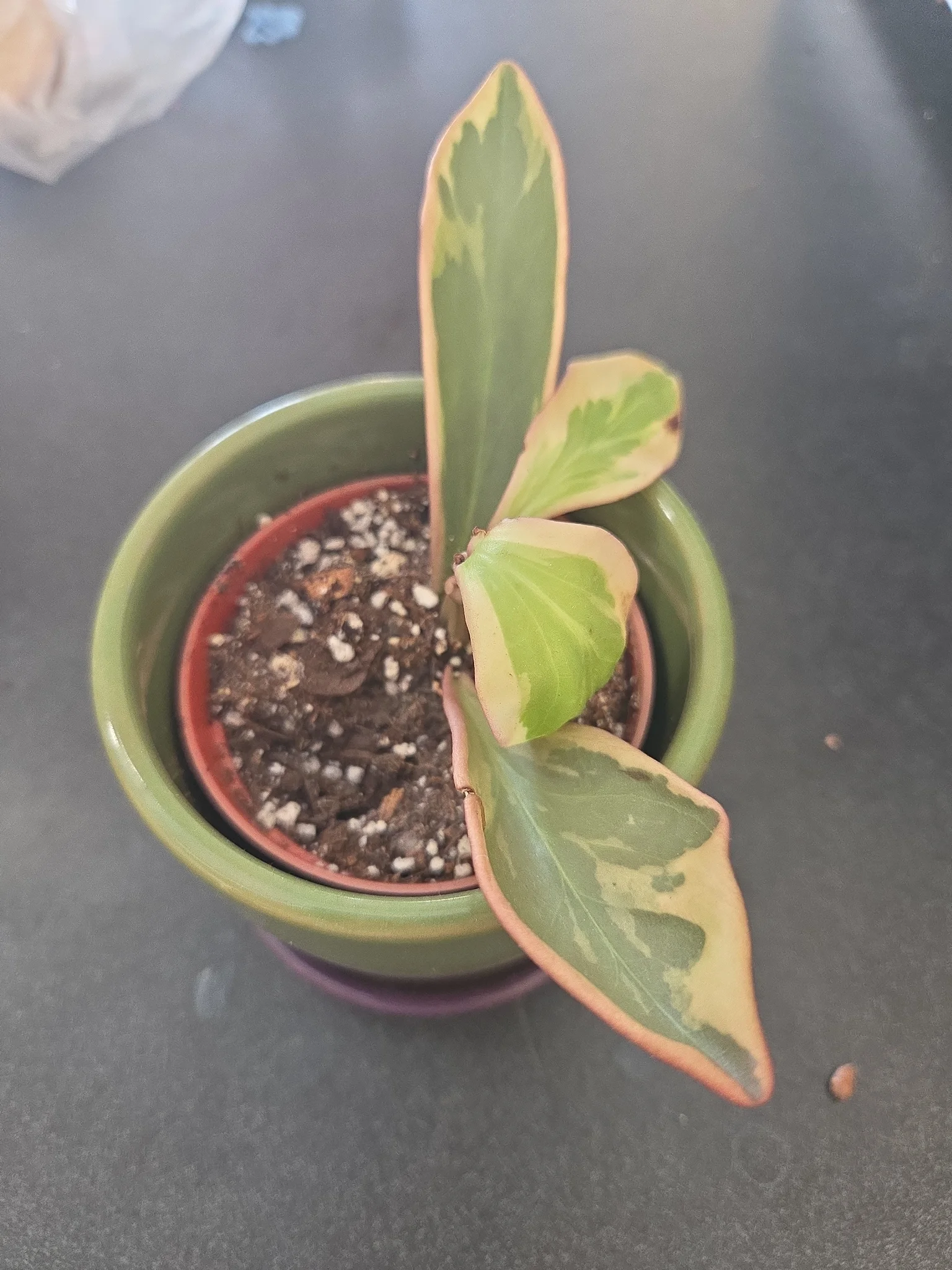 GMV by by by by br h4